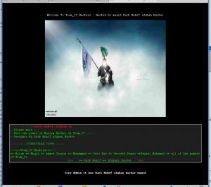 Screenshot of the hacked 11112018 web site
